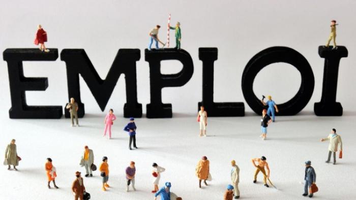 Une diminution du nombre de demandeurs d'emploi