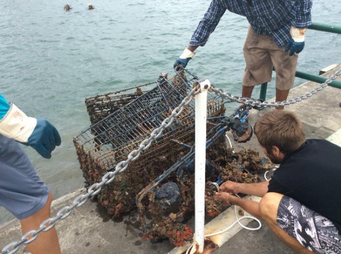Une déchetterie aux fonds du Malecon