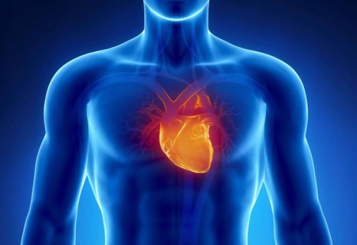 Une journée au coeur de l'insuffisance cardiaque