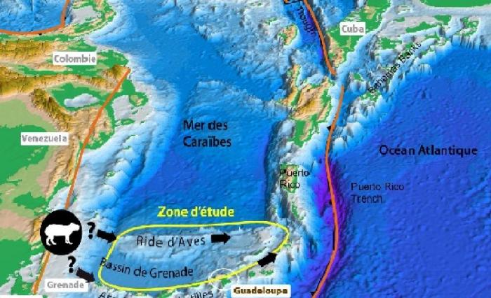 Une mission océanographique d'envergure dans les Caraïbes
