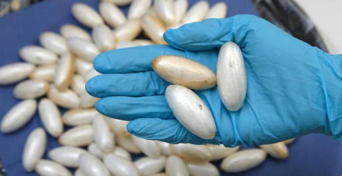 Une mule interceptée avec de la drogue dans le ventre
