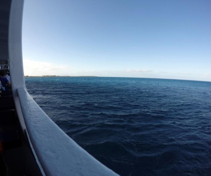 Une épidémie à bord de l’un des plus grands navires de croisière du monde