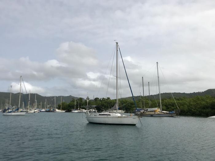 Une partie de la baie du Marin bientôt interdite au mouillage
