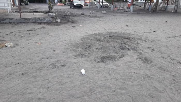Une ponte de tortue sur la plage de Malendure !