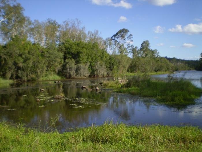 Une rencontre sur les zones humides à Pointe-à-Pitre