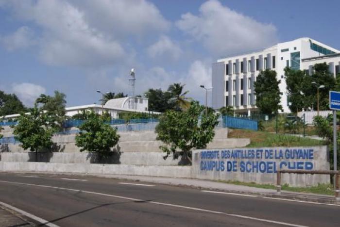 Université des Antilles : un amendement fait débat