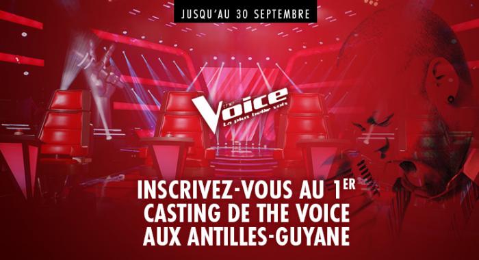 Voulez-vous devenir "The Voice" ?