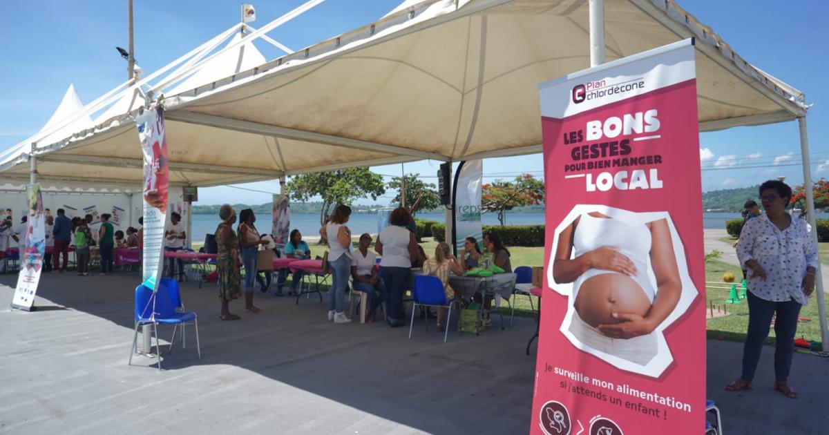     





Un village consacré à la périnatalité au Robert, ce samedi




