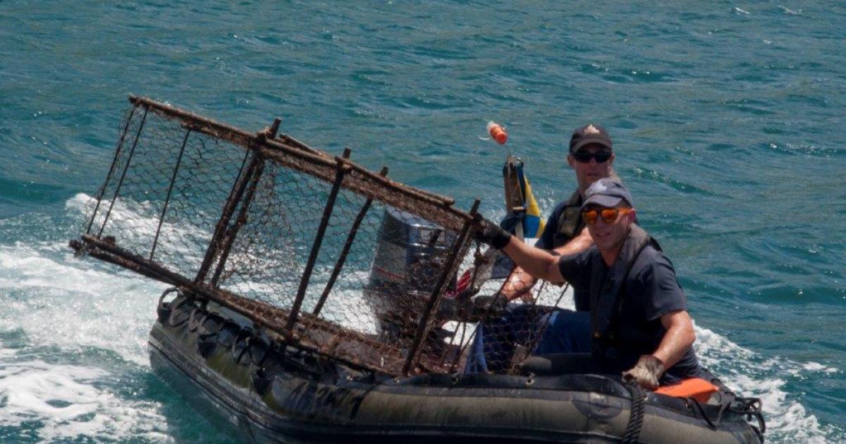 25 nasses de pêche récupérées dans des zones contaminées au chlordécone