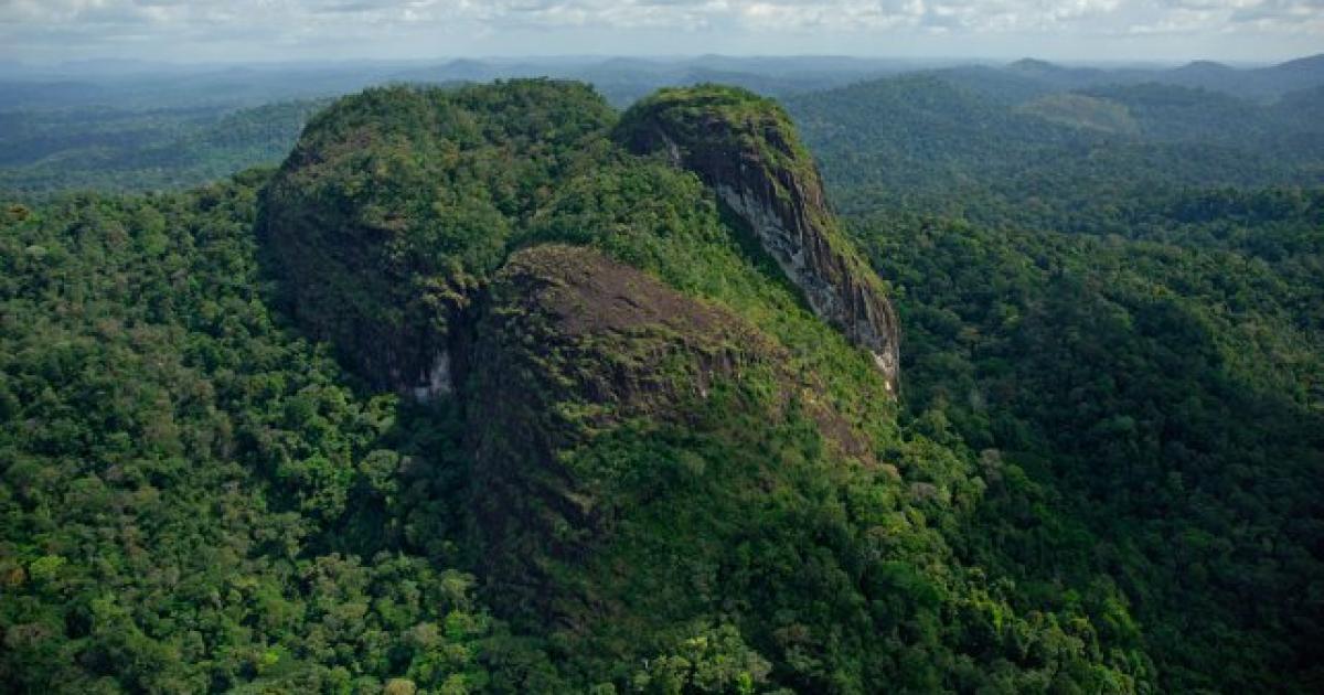 Guyane : 3 militaires tués dans une mission contre l'orpaillage