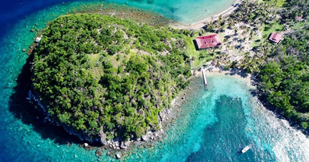     





Les inscriptions pour "la Palme verte du Tourisme" sont ouvertes




