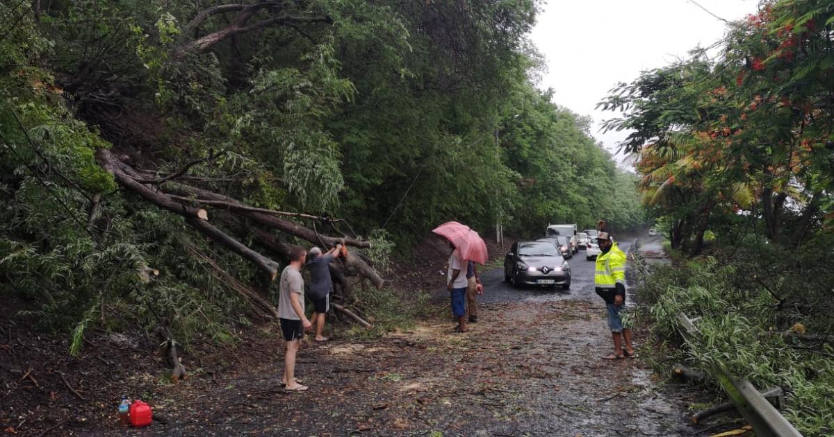     





Au Prêcheur, la circulation est difficile après la chute d'un arbre sur la route




