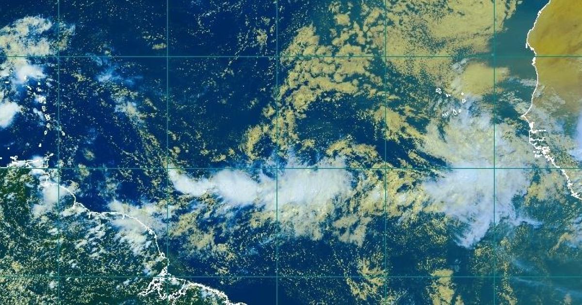     





Le NHC place une onde tropicale proche de l'Afrique sous surveillance




