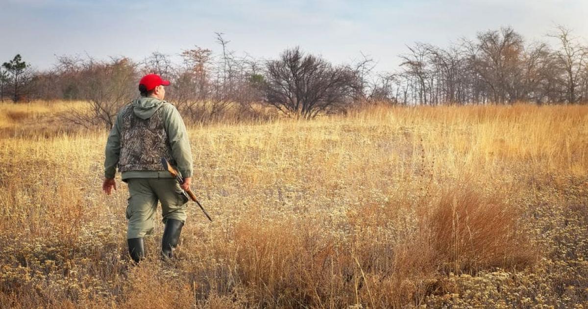 Des dispositions particulières pour la chasse cette année
