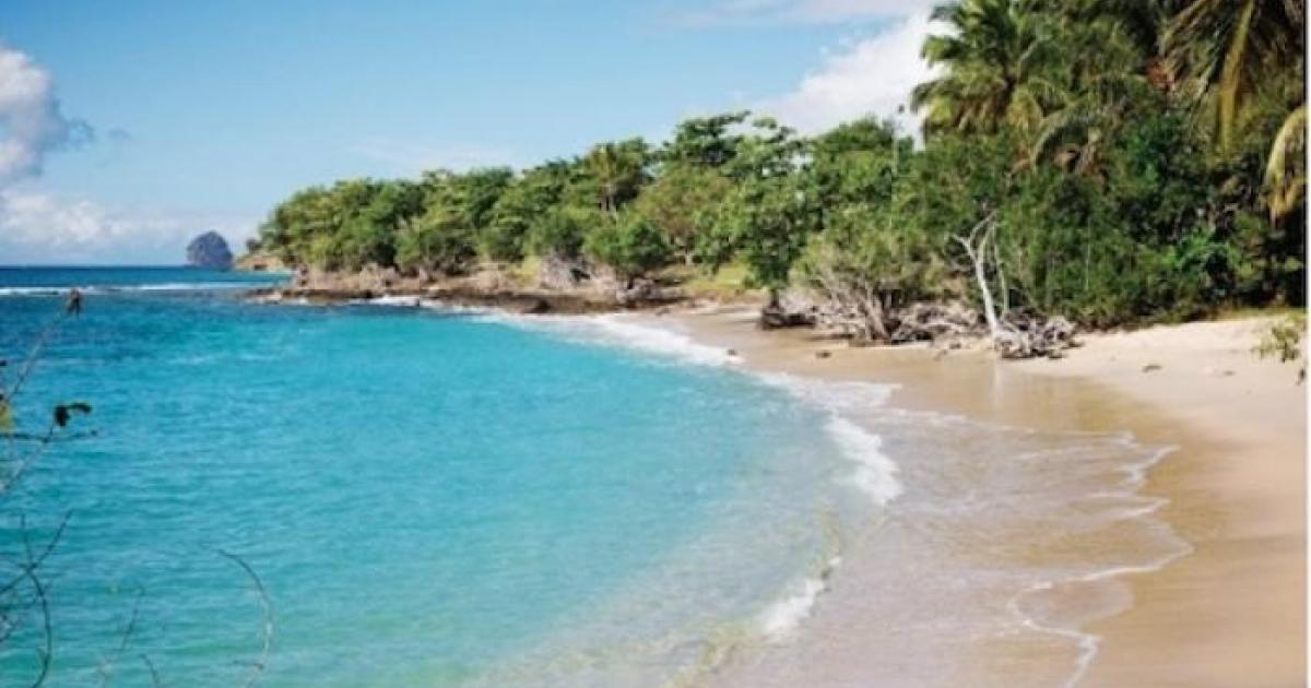 Vers le rétablissement du chemin littoral à Sainte-Luce