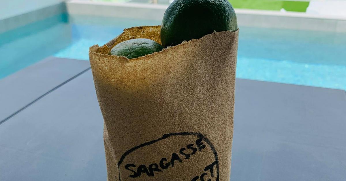     





Saint-Barthélémy : il crée un sac à base de sargasses 




