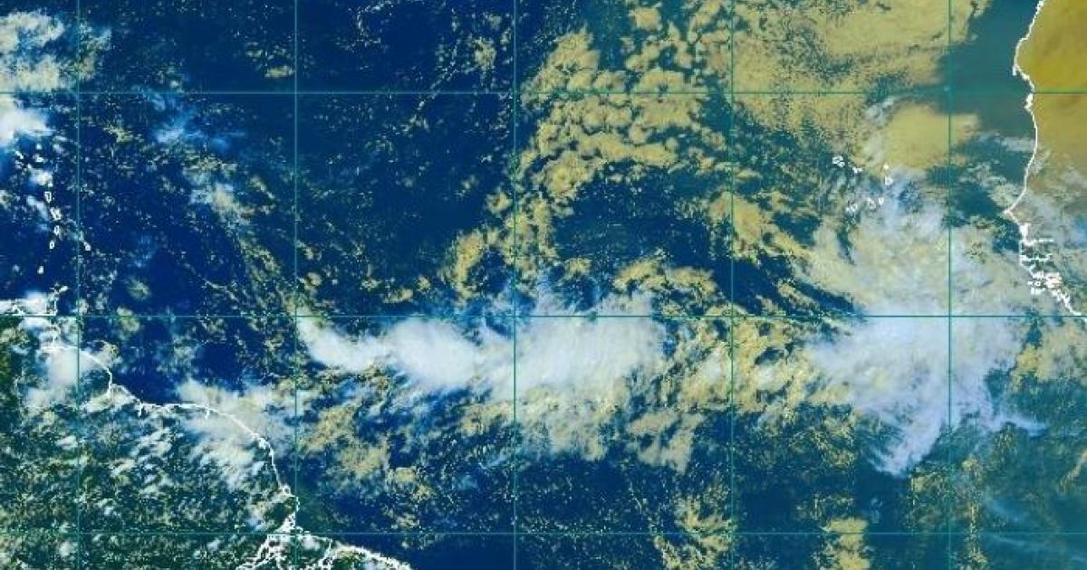 Une dépression tropicale prévue en début de semaine prochaine