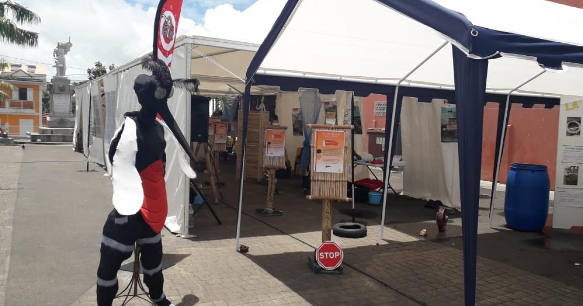 Une caravane de prévention contre les moustiques parcourt les communes de Martinique