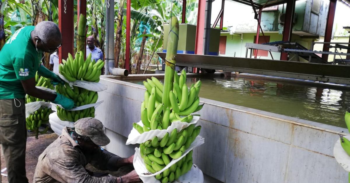 Banamart et Pole Emploi renforcent leur partenariat