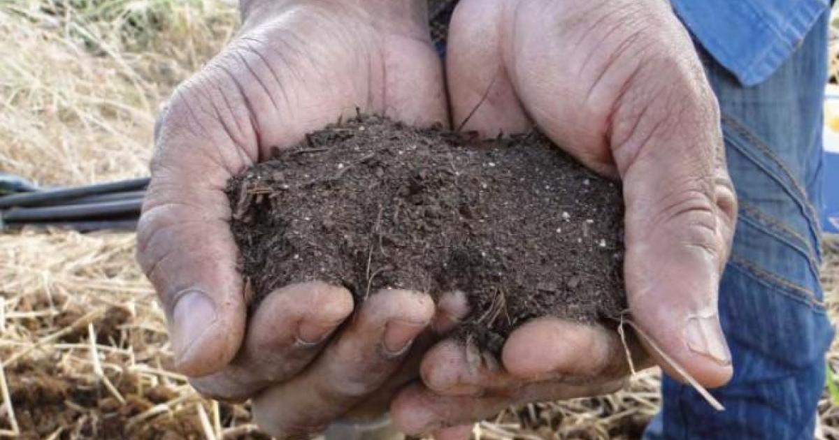     





Biodégradation de la chlordécone: "ça fait quinze ans qu'on travaille dessus"




