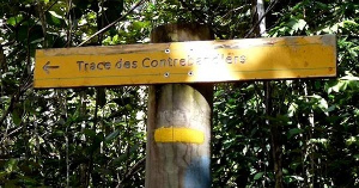     





Un chasseur disparu à Sainte-Rose: un appel aux volontaires est lancé 




