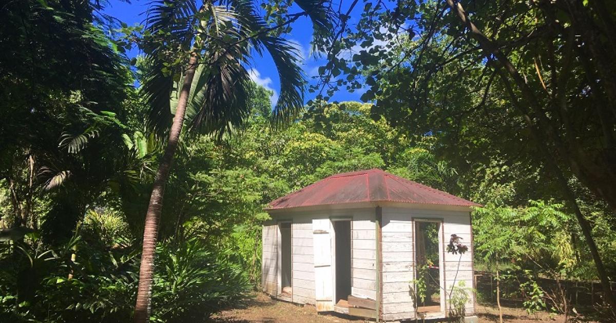     





Le parc paysager de Petit-Canal retrouve des couleurs




