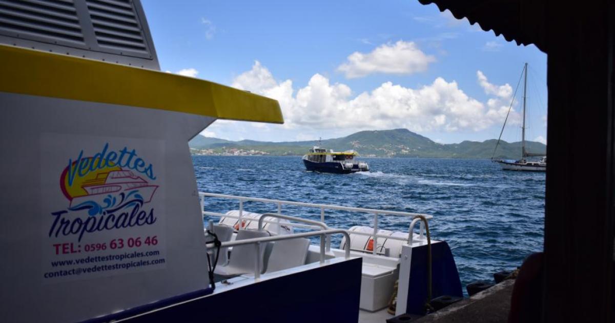     





Couvre-feu : dernières rotations à 18 h 30 pour les Vedettes Tropicales




