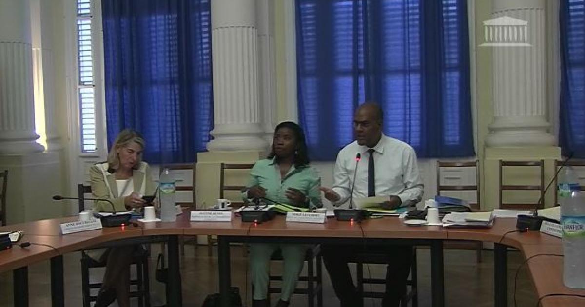     





Les travaux de la commission chlordécone en Martinique sont à suivre en direct





