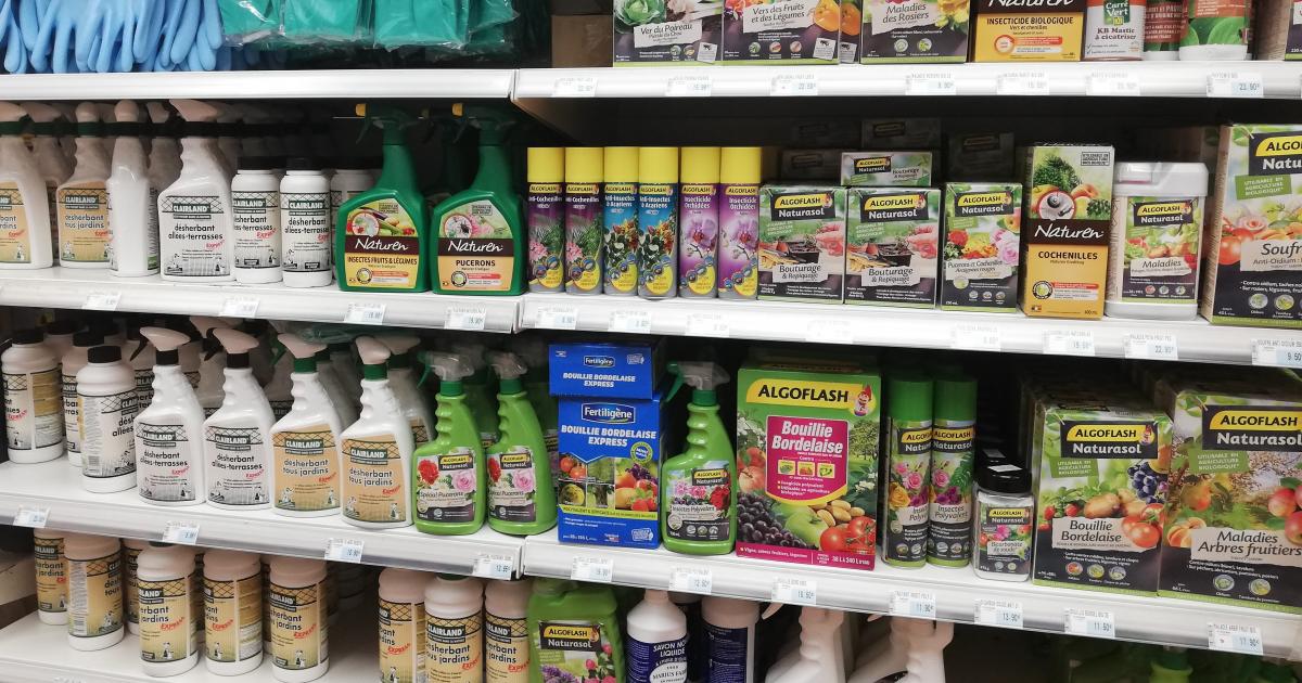 Pesticides et insecticides : attention aux conditions d'utilisation