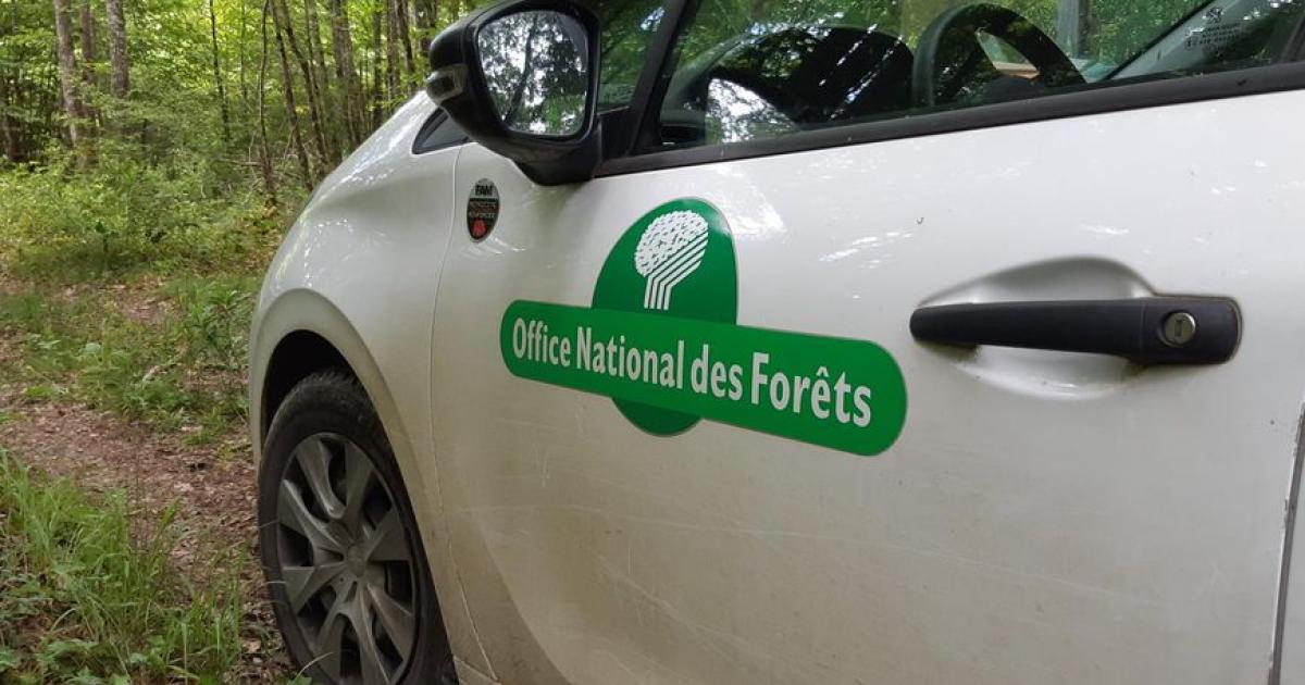 Deux suspects interpellés à bord d'un véhicule de l'ONF
