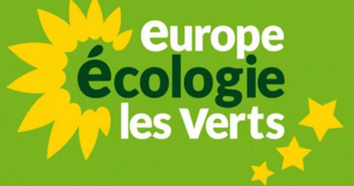 Caraïbes Ecologie les Verts fait sa rentrée politique