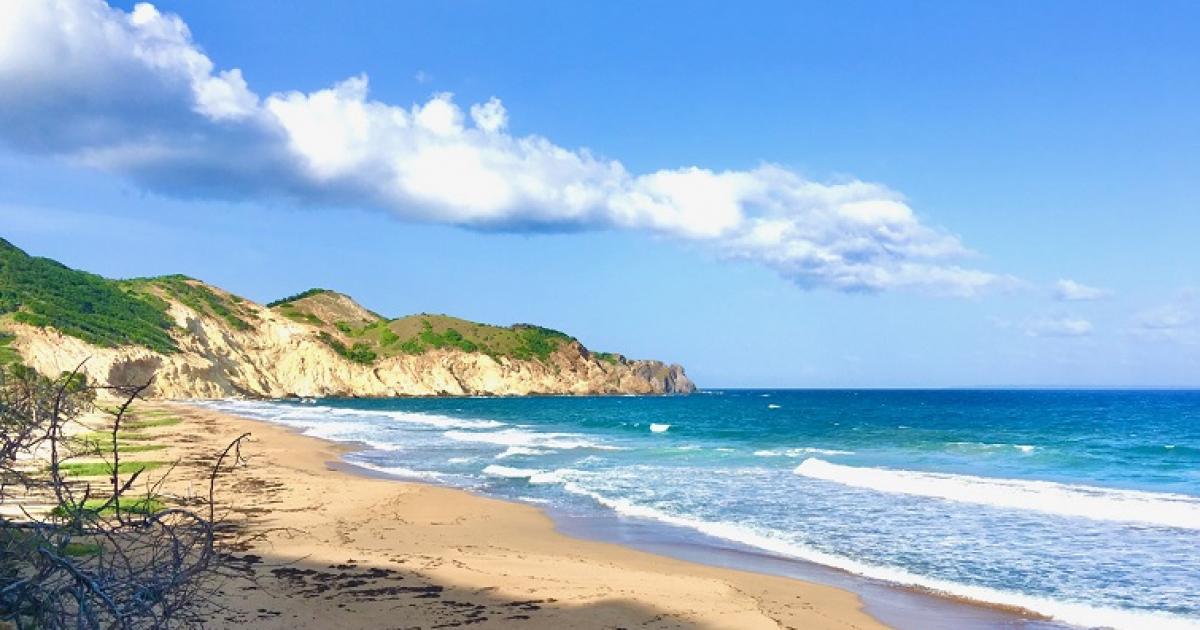 Entre charme et calme, profitez des plages de Terre-de-Haut