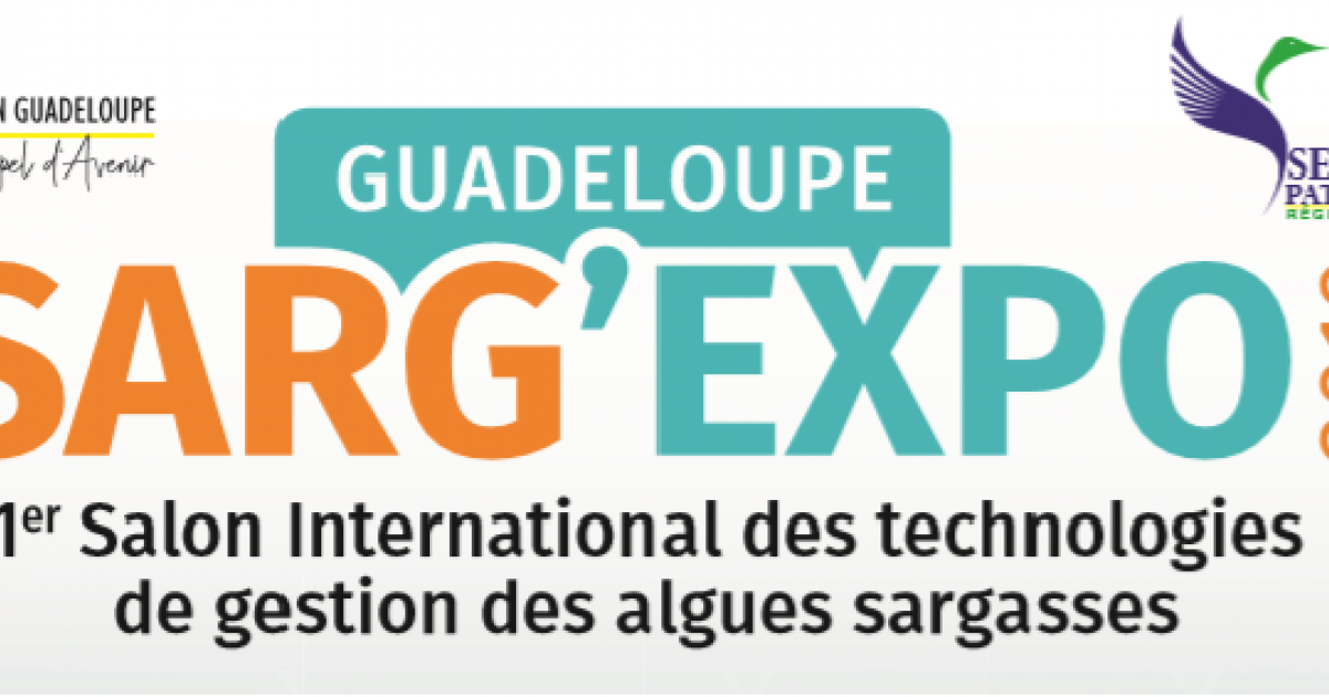 SARG'EXPO : une conférence internationale sargasses en Guadeloupe