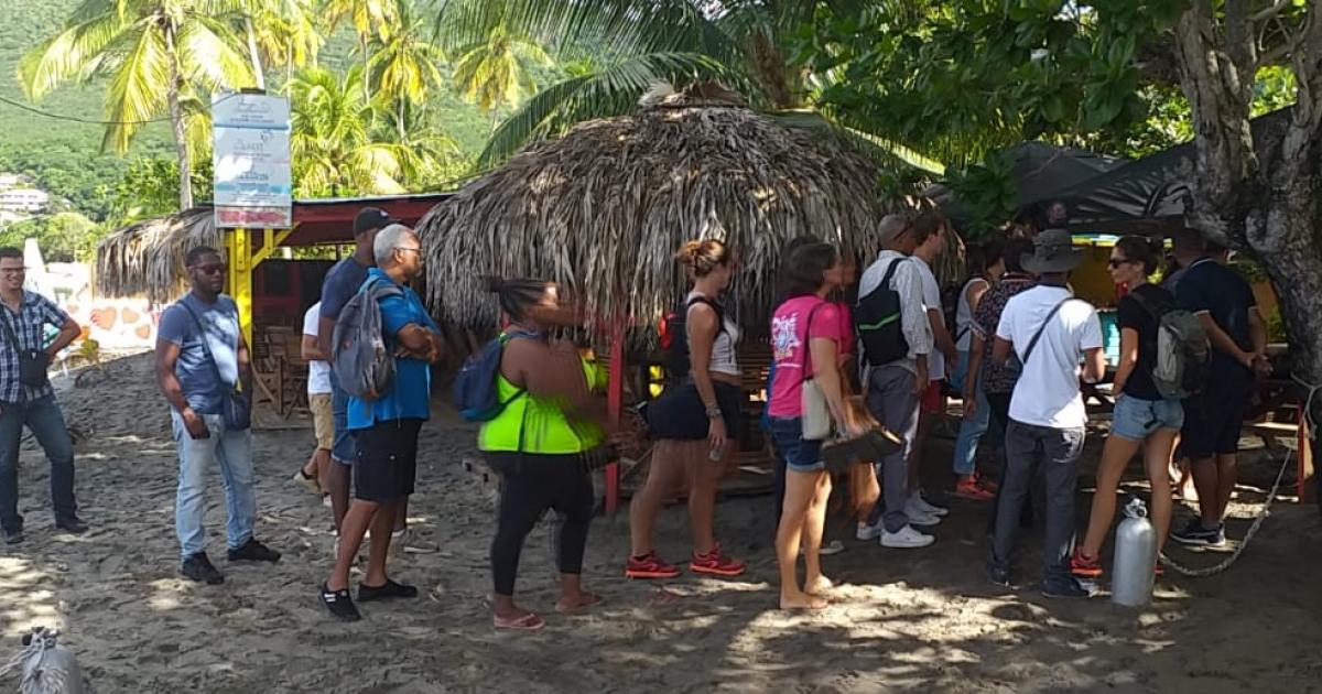 Une journée de découverte de la biodiversité de la Martinique