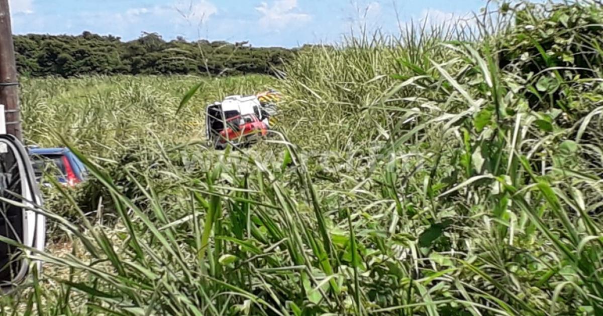 Le corps ensanglanté d'un homme retrouvé dans un champ de canne au Vauclin
