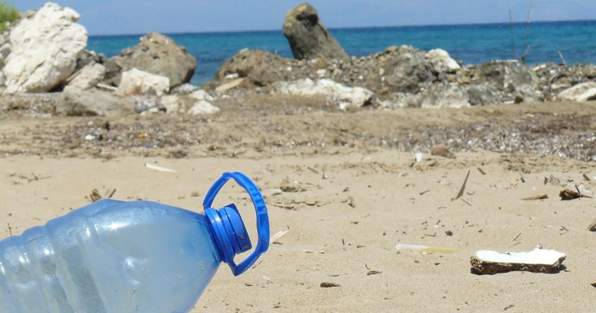 Les enfants du Gosier en première ligne pour le nettoyage des plages
