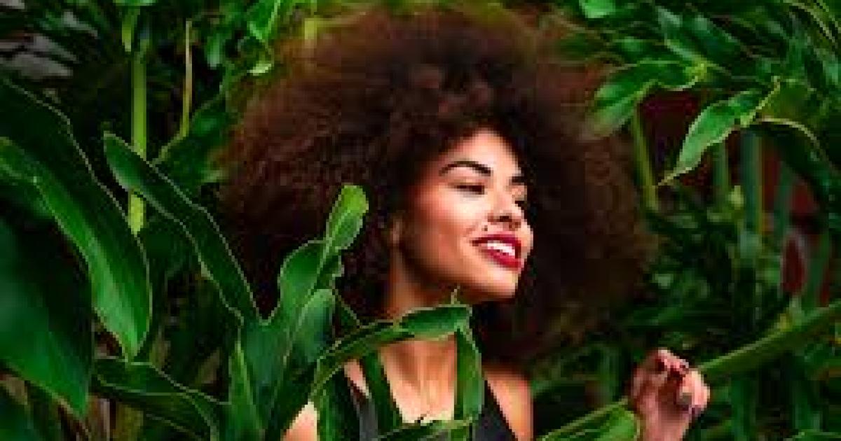 Les cheveux crépus comparés à un "balai à chiottes"