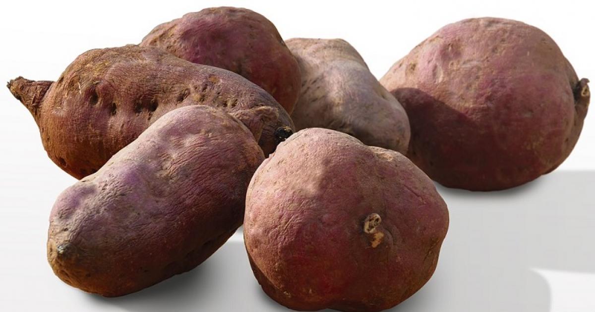 La recette du gâteau "Malélivé" à la patate douce