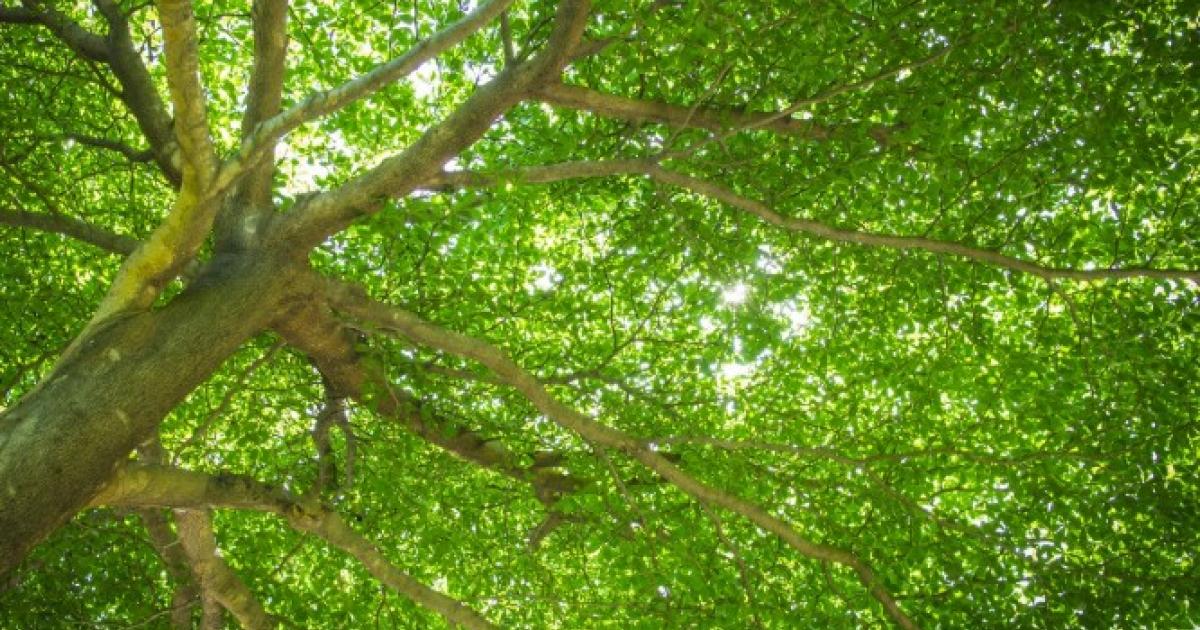 Un festival de musique éco responsable