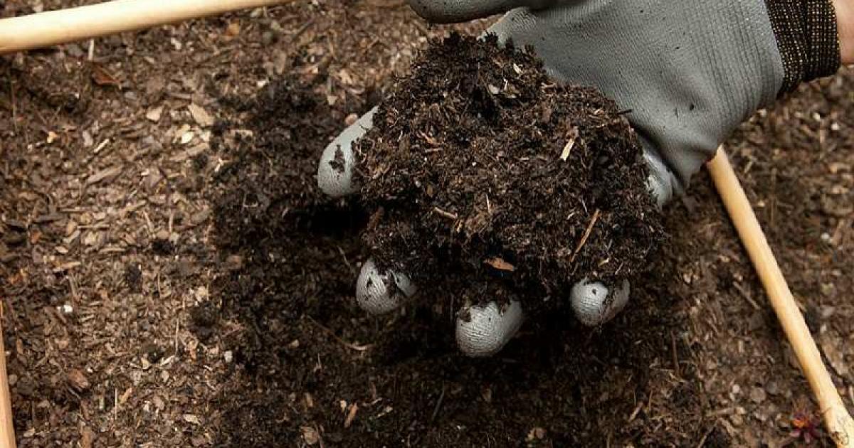 la CARL organisait sa dernière distribution de compost