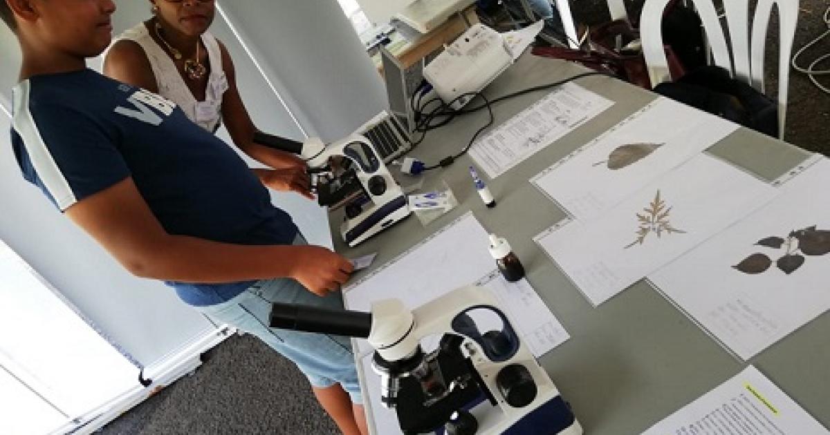 L'INRA de Guadeloupe fête la science !