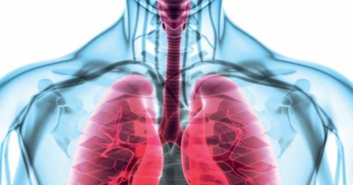     





Des journées consacrées aux maladies respiratoires




