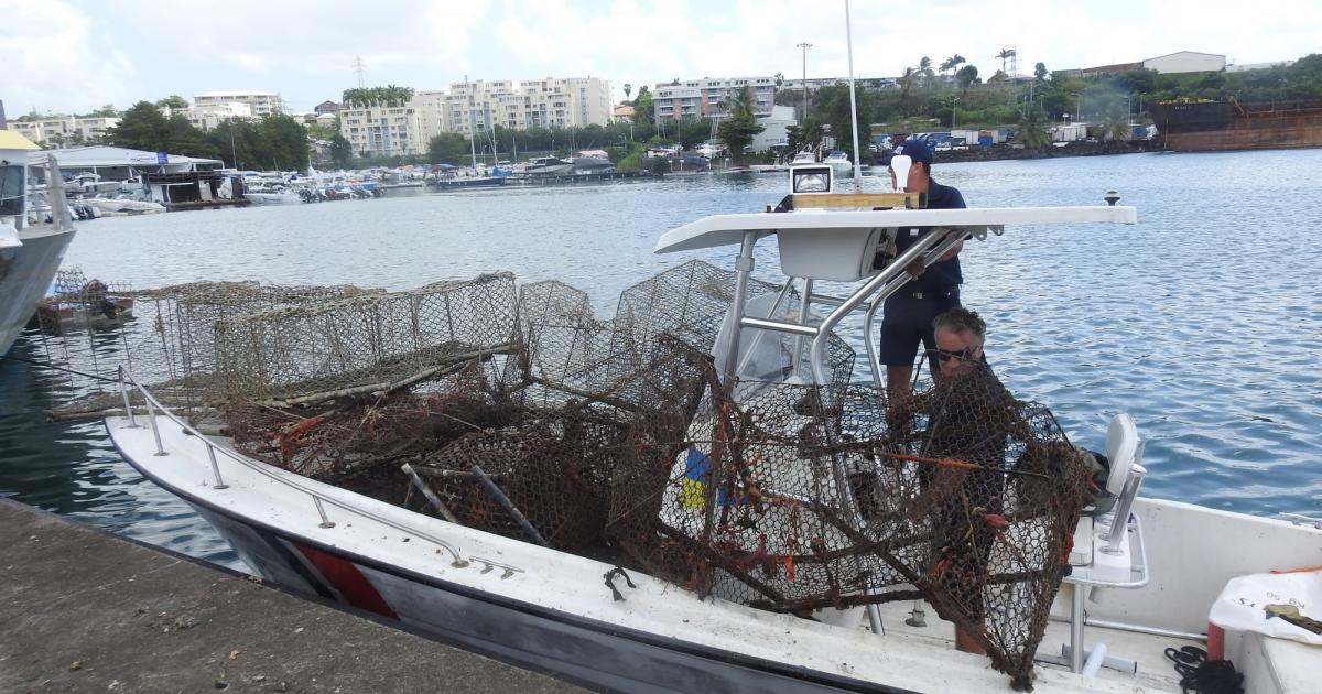 14 nasses et une ligne de fond détruites dans une zone interdite à la pêche