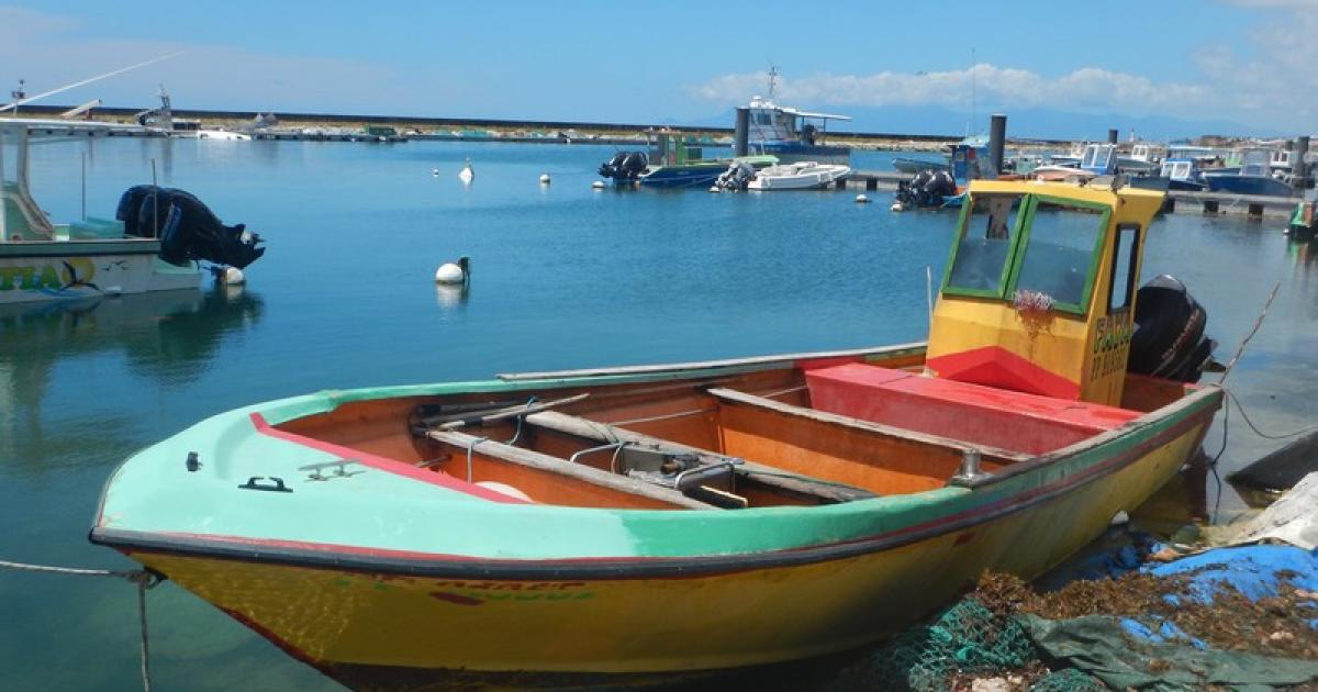 Chlordécone : la priorité c'est la dépollution selon les marins pêcheurs