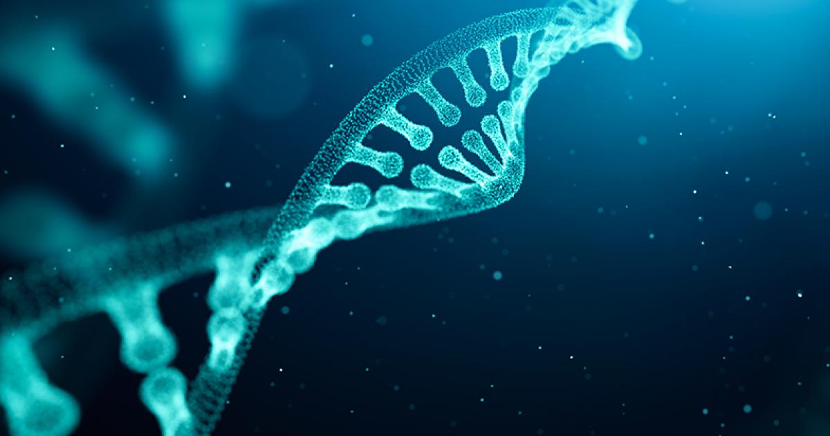 CTEBioM : pour une recherche en biosciences de haut niveau en Martinique