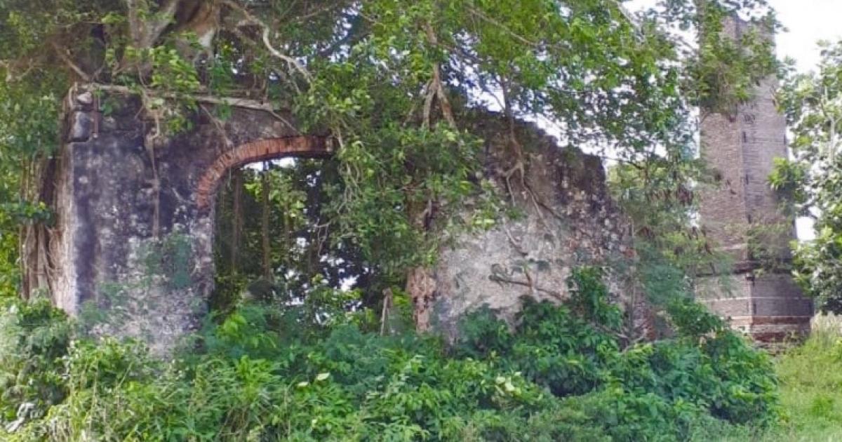     





À la découverte des secrets de la Pointe-à-Retz




