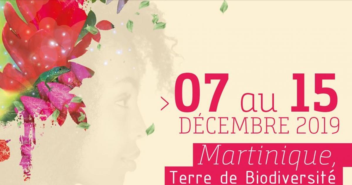     





La Martinique accueille la 4e édition des Floralies Internationales





