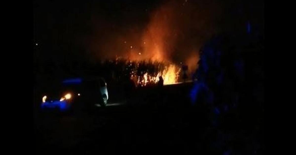     





Six départs de feu dans des champs de cannes




