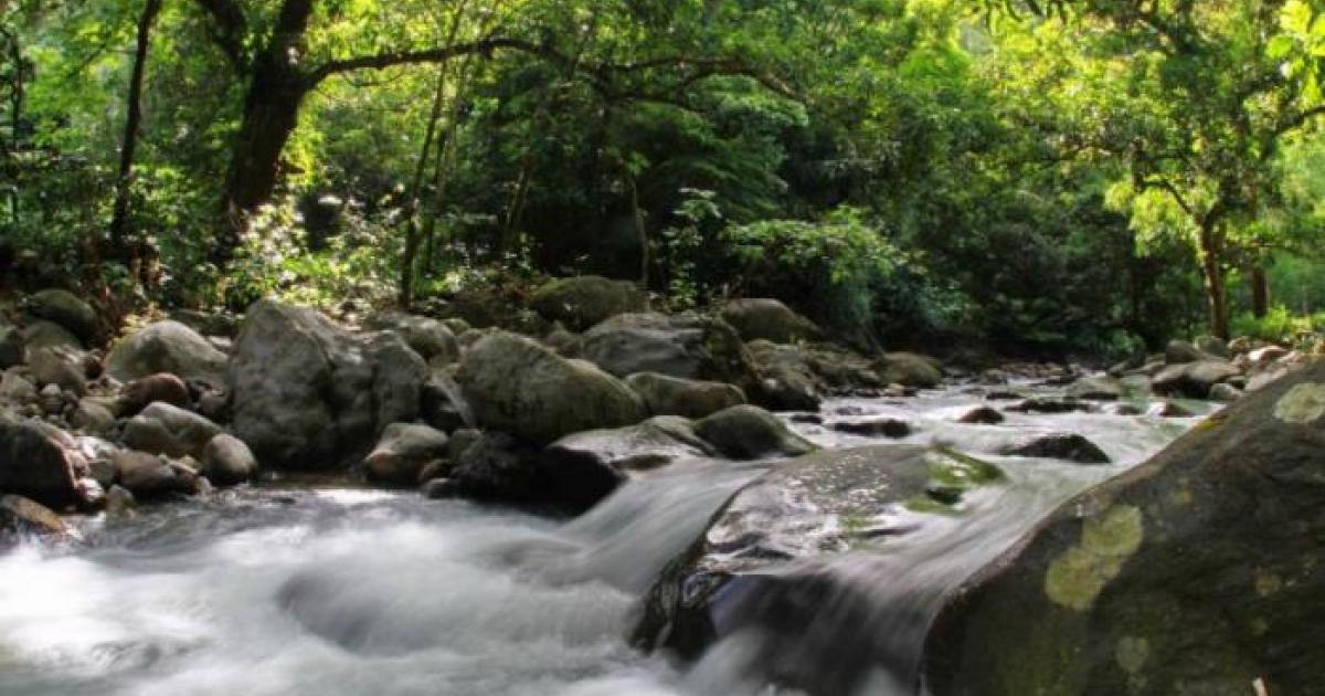     





Brusque montée des eaux en Guadeloupe : sept personnes bloquées puis récupérées




