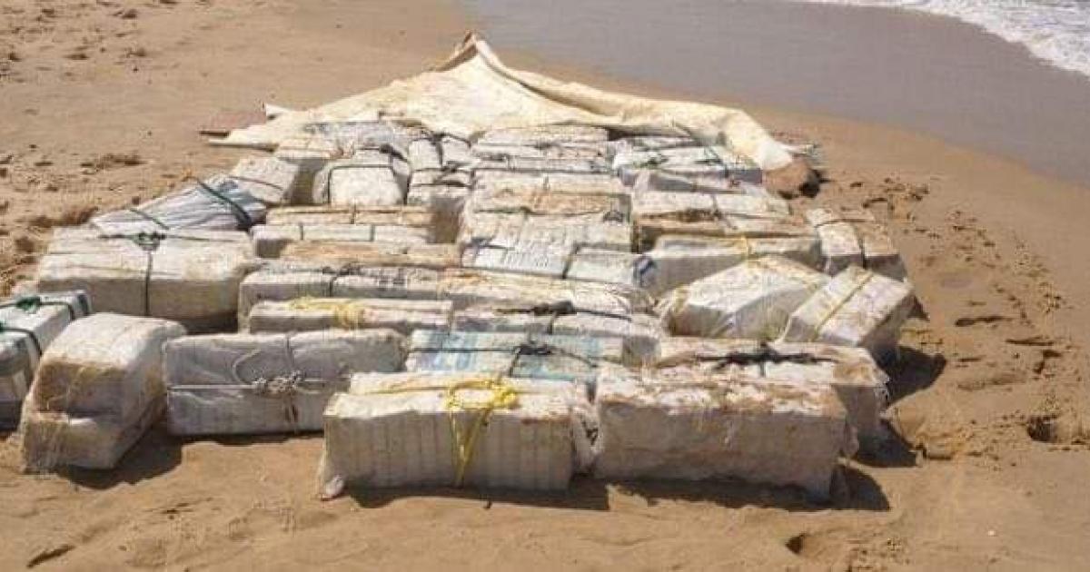 De la cocaïne sur la plage du Tombolo ?